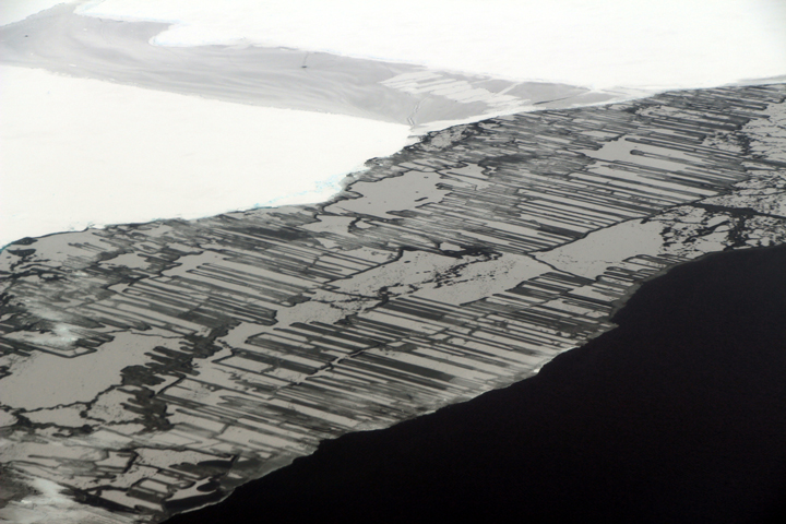 Interlocking fingers of Antarctic sea ice photographed during Operation IceBridge.